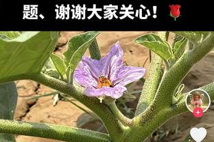 火力全开！小卡首节5中5砍10分 乔治11中5砍13分